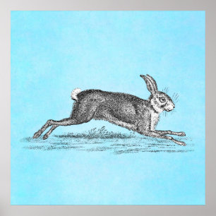 Vintag Hare Bunny Rabbit Illustration - Kaninchen Poster