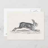 Vintag Hare Bunny Rabbit Illustration - Kaninchen Postkarte (Vorne/Hinten)
