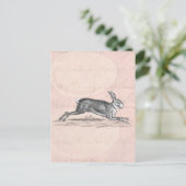 Vintag Hare Bunny Rabbit Illustration - Kaninchen Postkarte (Stehend Vorderseite)
