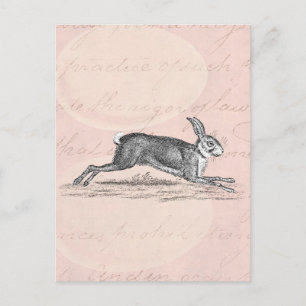 Vintag Hare Bunny Rabbit Illustration - Kaninchen Postkarte
