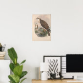 Vintag Hawk Fish Bird Poster (Heimbüro)