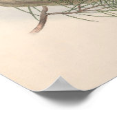 Vintag Hawk Owl Bird Poster (Ecke)