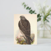 Vintag Hawk Postkarte (Stehend Vorderseite)