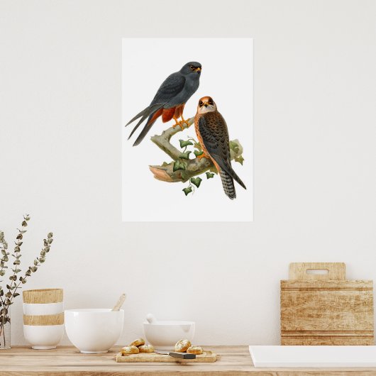 Vintag Hawks Poster (Küche)