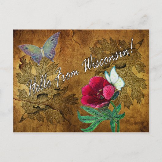 Vintag Hello From Wisconsin Postcard Postkarte (Vorderseite)