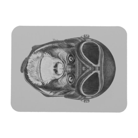 Vintag Helmet Chimpanzee Magnet (Horizontal)
