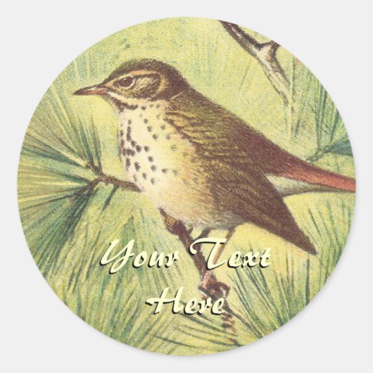 Vintag Hermit Thrush Stickers (Vorderseite)