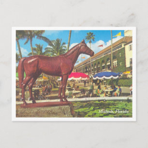 Vintag Hialeah Florida Postkarte