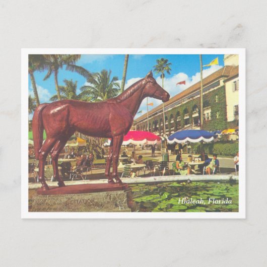 Vintag Hialeah Florida Postkarte (Vorderseite)