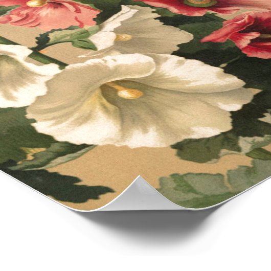 Vintag Hollyhocks Art Poster (Ecke)