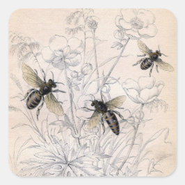 Vintag Honey Bee Art Print Quadratischer Aufkleber