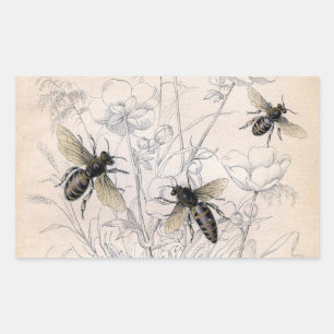 Vintag Honey Bee Art Print Rechteckiger Aufkleber