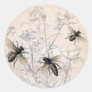 Vintag Honey Bee Art Print Runder Aufkleber