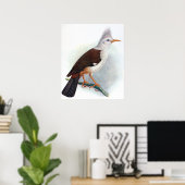 Vintag Hoopoe Starling Bird Poster (Heimbüro)