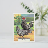 Vintag Houdan Chicken Postkarte (Stehend Vorderseite)
