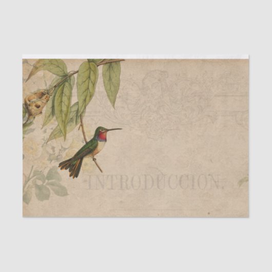 Vintag Hummingbird Ephemera Seidenpapier (Vorderseite)