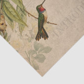 Vintag Hummingbird Ephemera Seidenpapier (Ausschnitt)