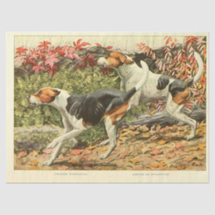 Vintag Hund Ephemera Decoupage English Foxhounds Seidenpapier