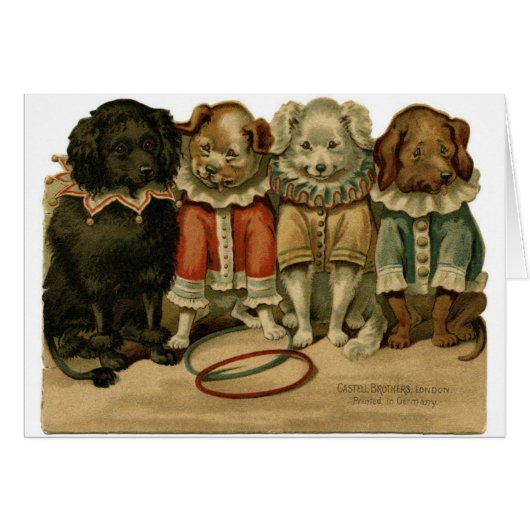 Vintag - Hunde in den Clown-Anzügen, (Vorderseite (Horizontal))