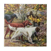 Vintag Hunde Setter Trio Fliese (Vorderseite)