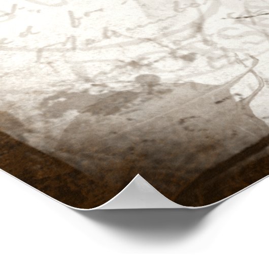 Vintag Hydrangea Poster (Ecke)