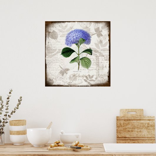 Vintag Hydrangea Poster (Küche)