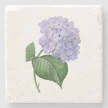 Vintag Hydrangea Vintage Blume Botanisches Geschen