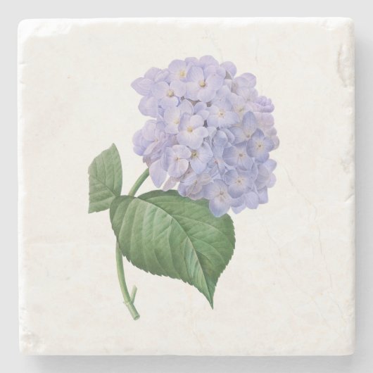 Vintag Hydrangea Vintage Blume Botanisches Geschen Steinuntersetzer (Vorderseite)