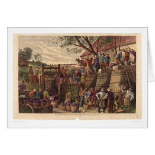 Vintag in Kalifornien (0604A)