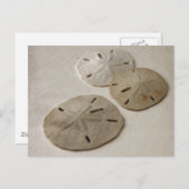 Vintag Inspiriert SandDollars Postkarte (Vorne/Hinten)