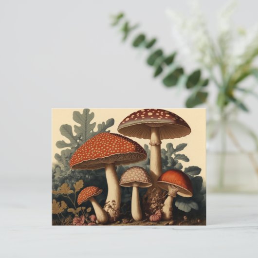 Vintag Inspirierter Kernstück Mushroom Art Postkarte (Stehend Vorderseite)