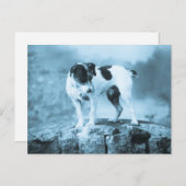 Vintag Jack Russell Cyan Tone Postkarte (Vorne/Hinten)