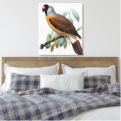 Vintag John Keulemans Mascarene Parrot Leinwanddruck (Insitu (Schlafzimmer))