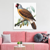Vintag John Keulemans Mascarene Parrot Leinwanddruck (Insitu (Wohnzimmer))