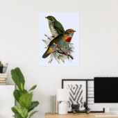 Vintag John Keulemans Red banded Fruiteater Poster (Heimbüro)