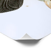 Vintag John Keulemans Red banded Fruiteater Poster (Ecke)