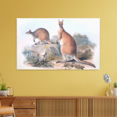 Vintag Kangaroos Leinwanddruck (Insitu (Wohnzimmer))
