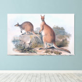 Vintag Kangaroos Leinwanddruck (Insitu (Holzboden))