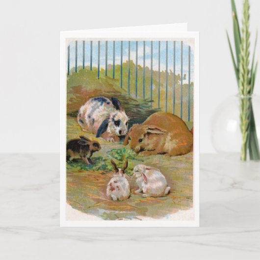 Vintag - Kaninchenfamilie, Karte (Vorderseite)