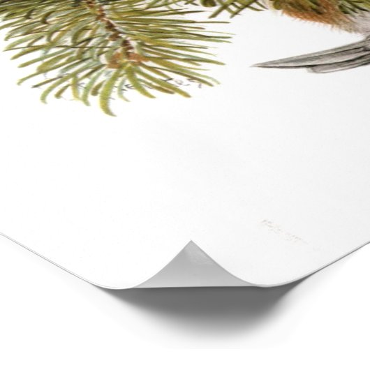 Vintag Kastanienrückwurzel Poster (Ecke)