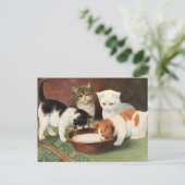 Vintag Katzen und Milch Postkarte (Stehend Vorderseite)