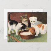 Vintag Katzen und Milch Postkarte (Vorne/Hinten)
