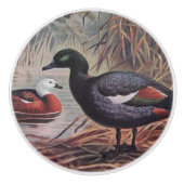 Vintag Keulemans John Gerrard Paradise Shelduck Keramikknauf (Vorderseite)