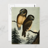 Vintag Kirtlands Owl Postkarte (Vorne/Hinten)