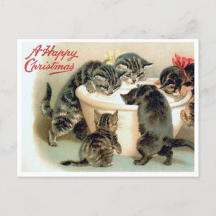 Vintag Kitten Postcard - Niedliche Weihnachtskatze Postkarte