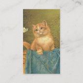 Vintag Kitten und Butterfly Visitenkarte (Rückseite)