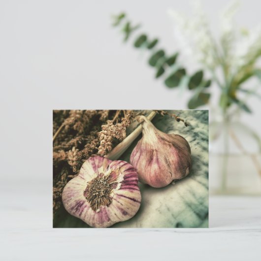 Vintag Knoblauch Postkarte (Stehend Vorderseite)