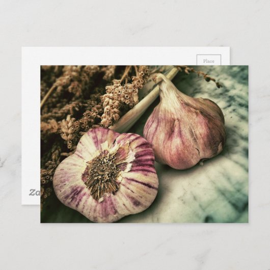 Vintag Knoblauch Postkarte (Vorne/Hinten)