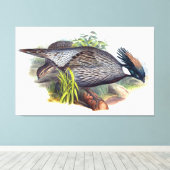 Vintag Koklass Pheasant Bird Leinwanddruck (Insitu (Holzboden))