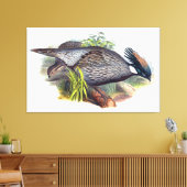 Vintag Koklass Pheasant Bird Leinwanddruck (Insitu (Wohnzimmer))